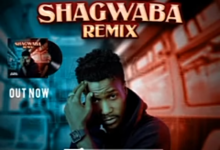 Tk Adam Dorayi - Shagwaba Remix Mp3 Download