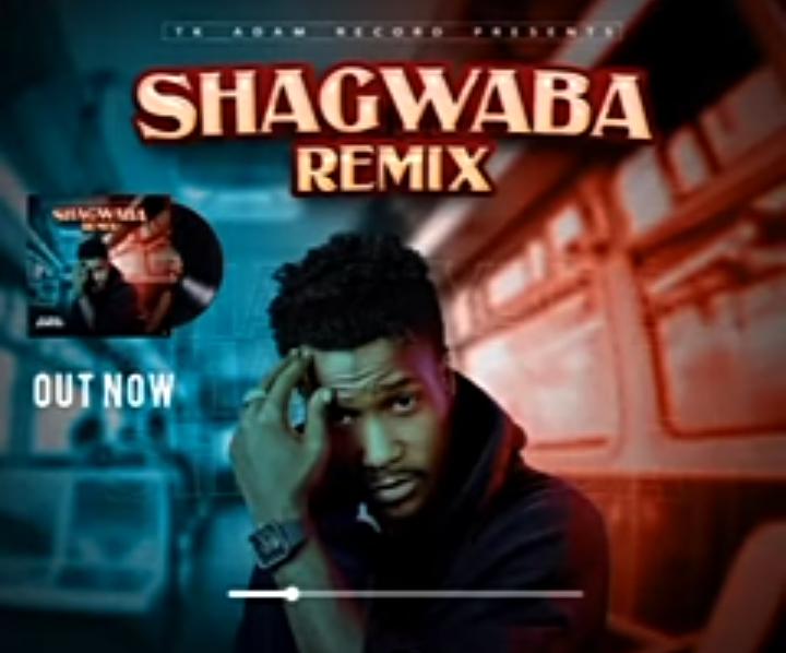 Tk Adam Dorayi - Shagwaba Remix Mp3 Download